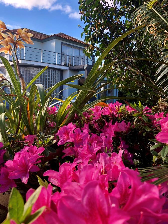 Quinta Da Bela Vista Villa Ponta Delgada  Ngoại thất bức ảnh
