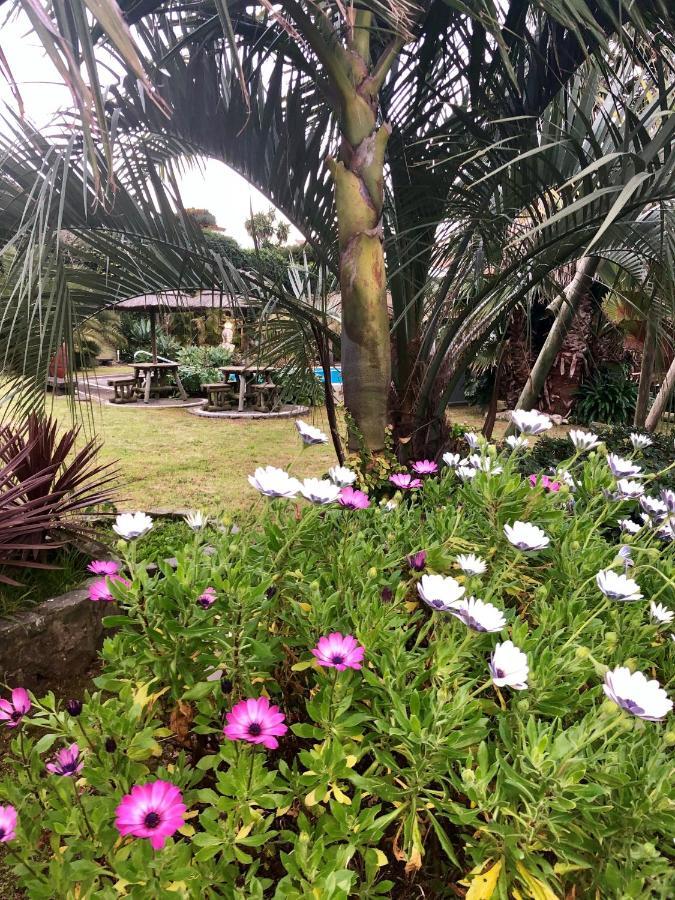 Quinta Da Bela Vista Villa Ponta Delgada  Ngoại thất bức ảnh