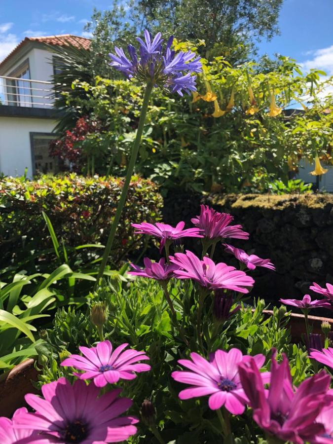 Quinta Da Bela Vista Villa Ponta Delgada  Ngoại thất bức ảnh